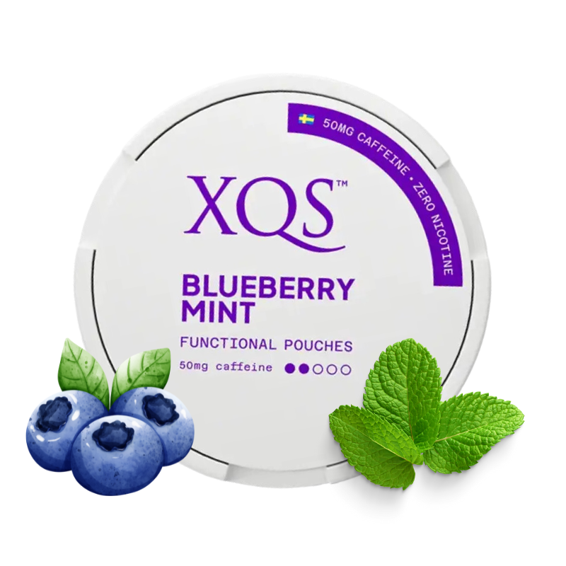 XQS - Blueberry Mint | 50mg